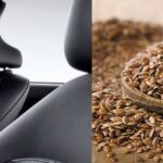 Eco-processed Leather