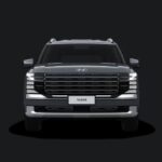 Ecotronic Gray Pearl